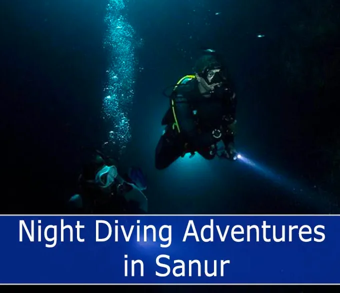Divers at Night Diving in Sanur